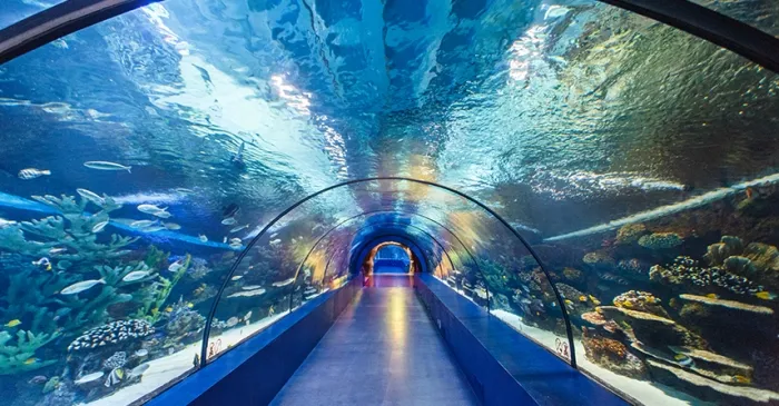 Antalya Aquarium